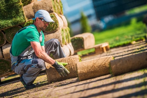 Landscaping