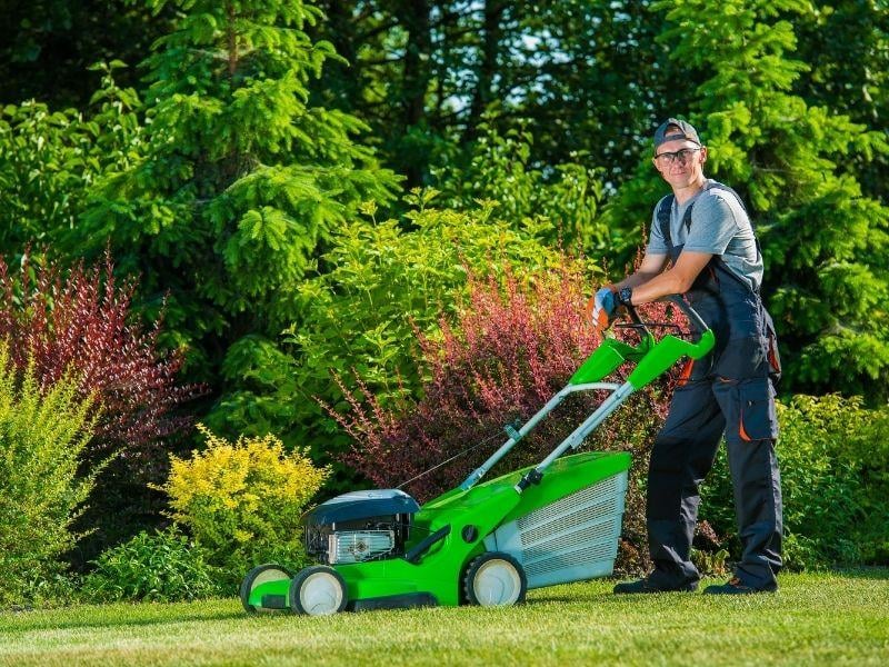 lawn care employing working on a yard