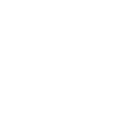 EMS 800 Google Reviews