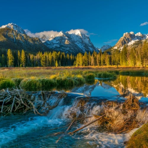 idaho beaver dam