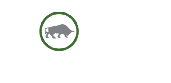 Bull Market Business Funding Solutions