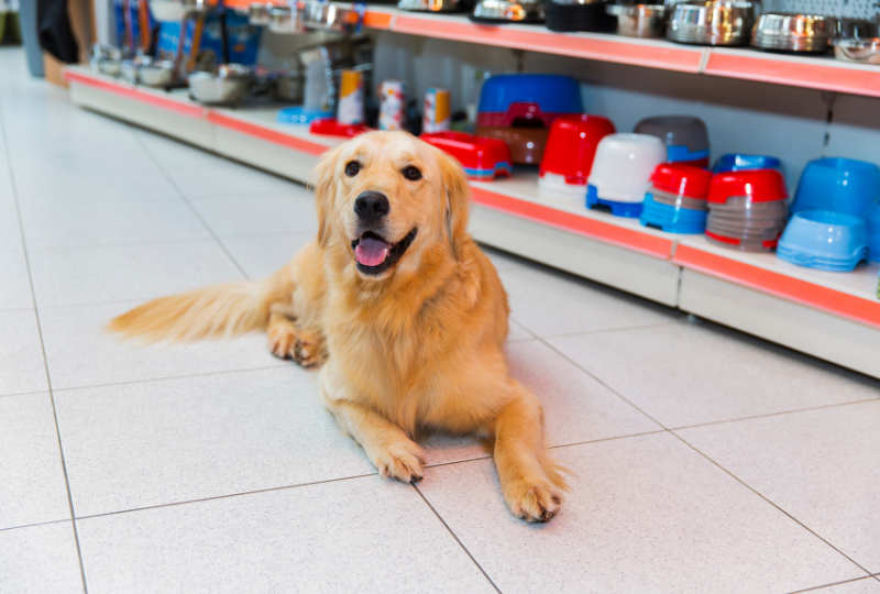 pet-store-merchant-services