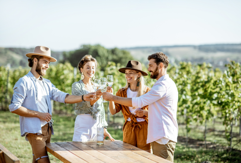 vineyard-credit-card-processing